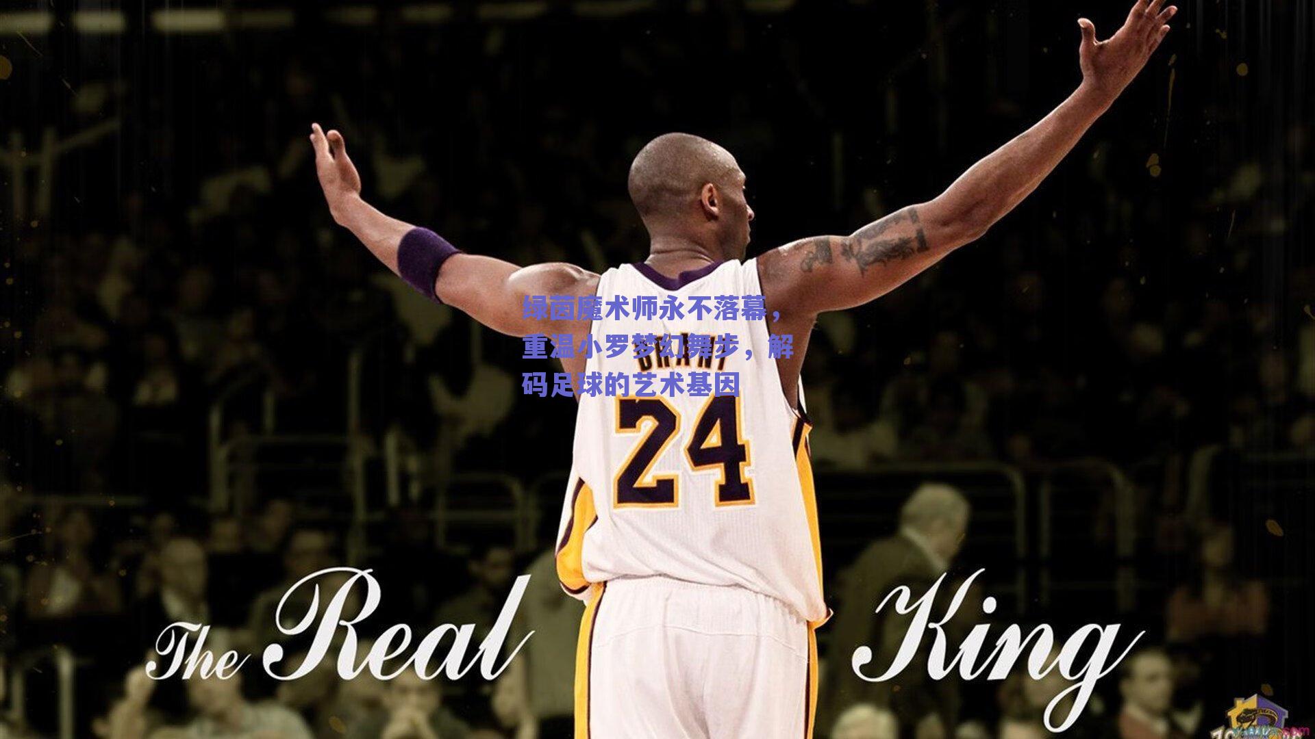 绿茵魔术师永不落幕，重温小罗梦幻舞步，解码足球的艺术基因